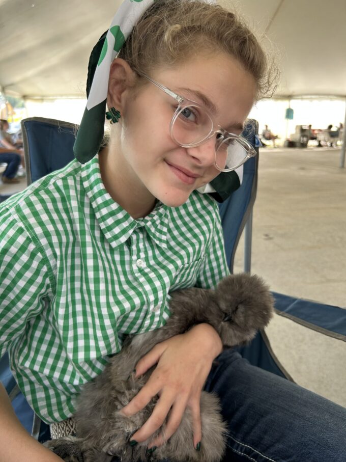 Blue Silkie Bantam