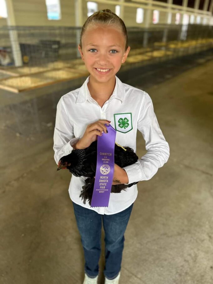 Birchen Cochin Bantam