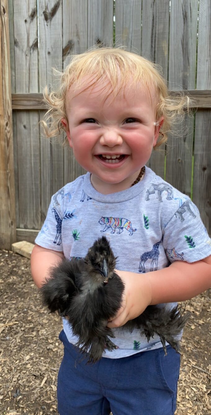 Black Silkie