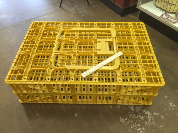 Crate/Coop 12- 1 Yellow Transport Crate/Coop-2888