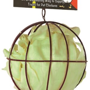 Treat Ball - "World's First Toy for Pet Chickens!"