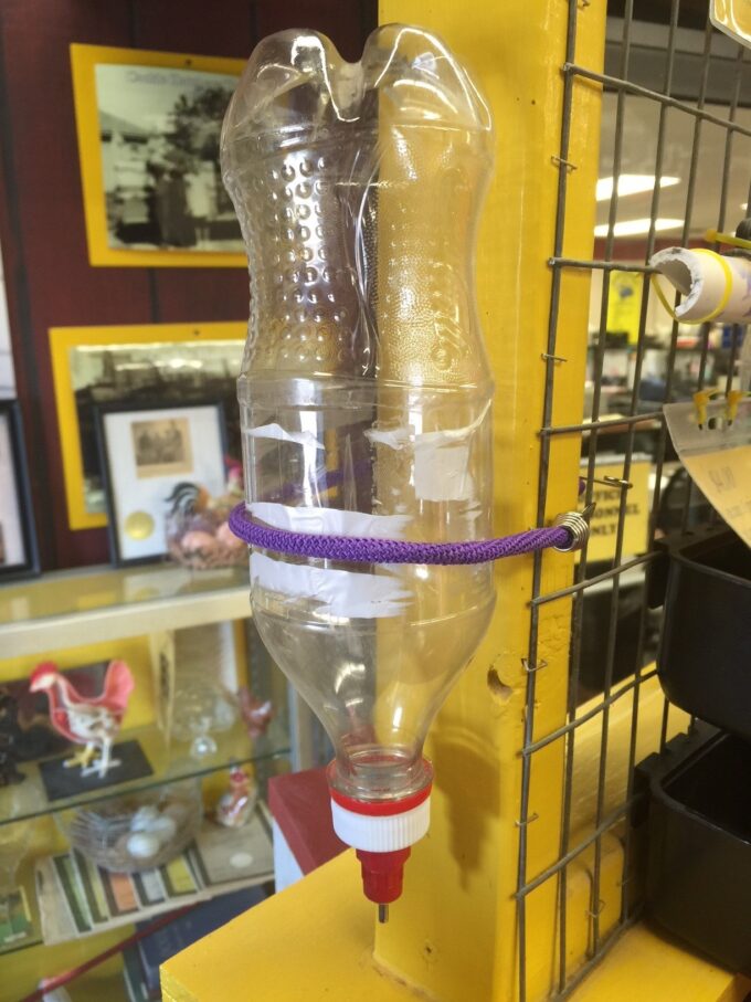 Bottle Cap Nipple Waterer-5700
