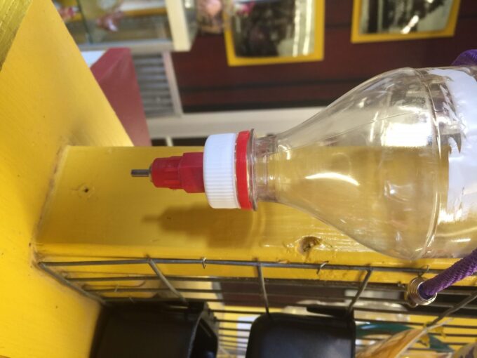 Bottle Cap Nipple Waterer-5701