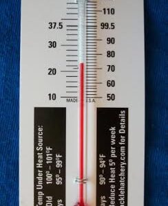 thermometer