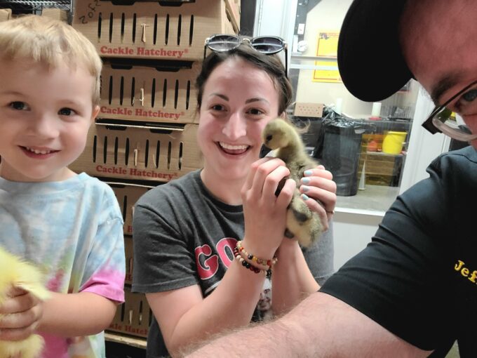 Hatchery Choice Geese