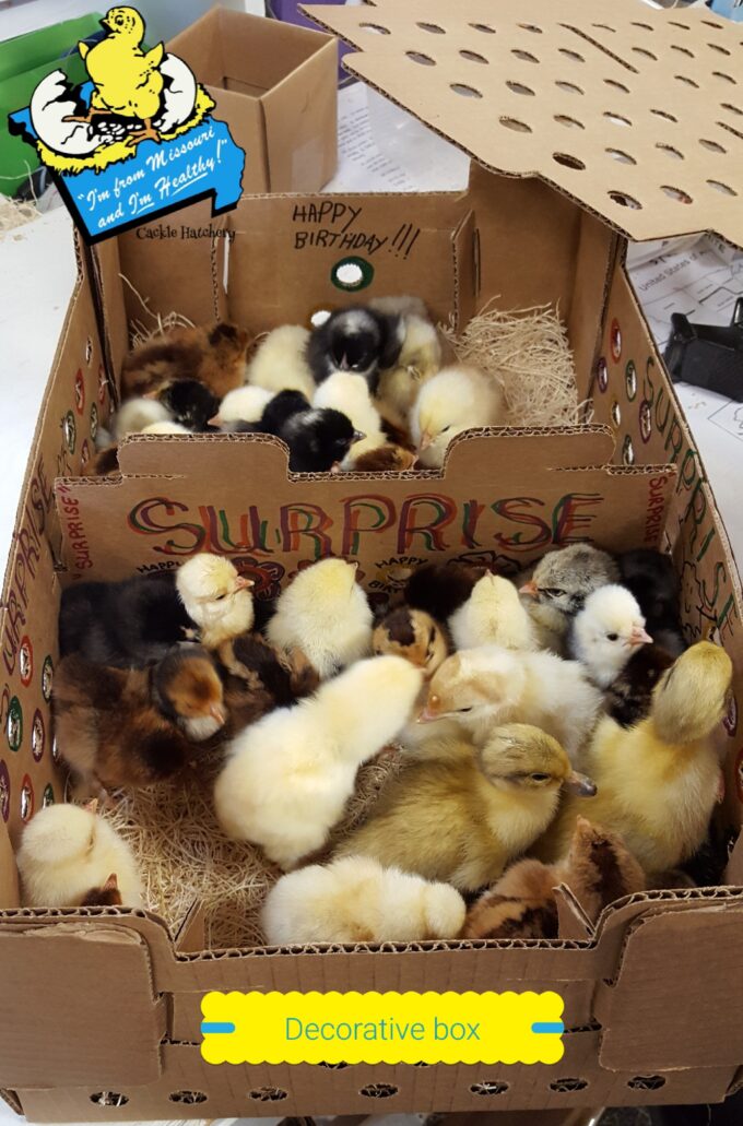 Decorated Box