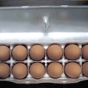 1 Dozen of Ceramic Eggs