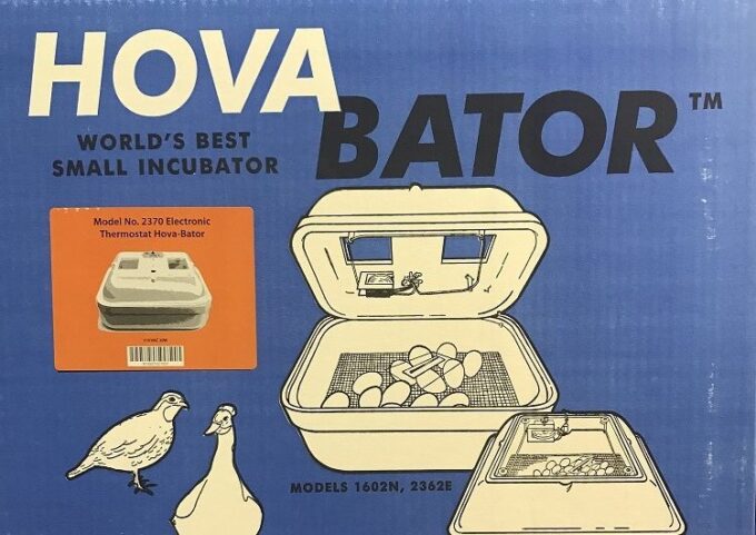 2370 Hovabator Incubator
