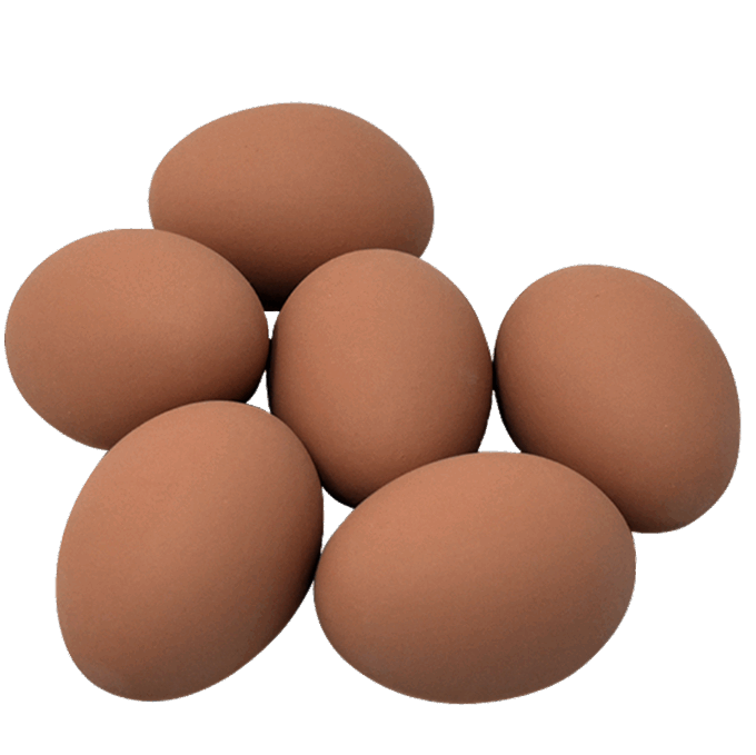 Ceramic Nest Eggs – 6 Pack