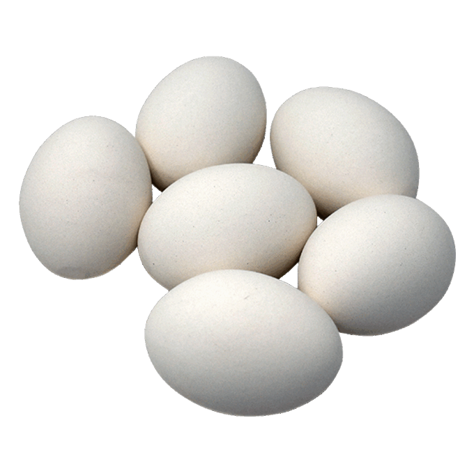 Ceramic Nest Eggs – 6 Pack