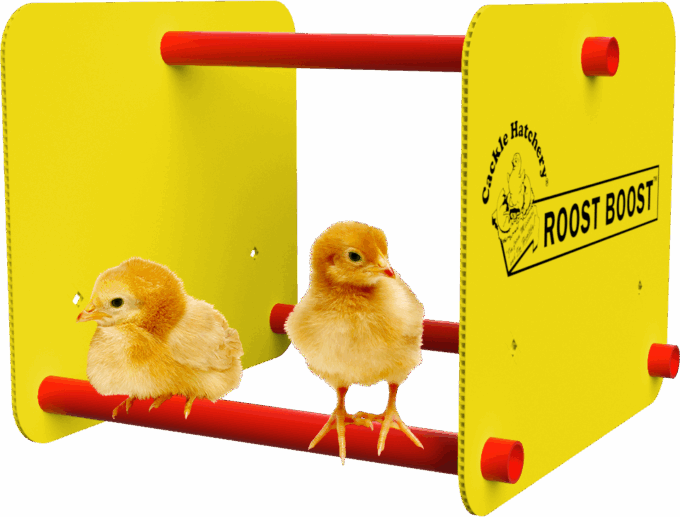 Roost Boost™