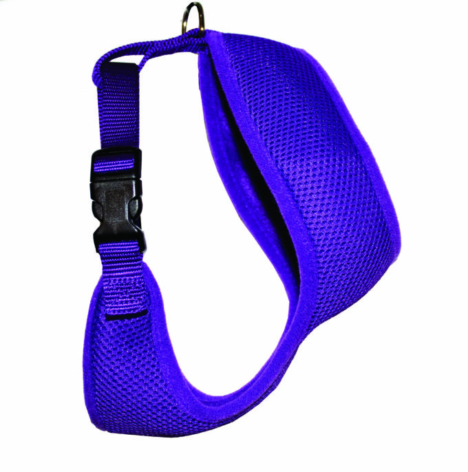 Chicken Harness - Shown blue Color choice not available