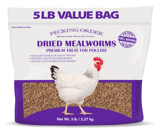 Pecking Order Dried Mealworms 5 LB