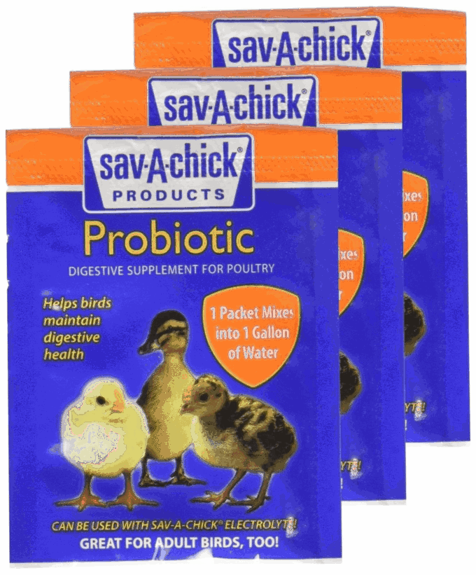 Sav-a-Chick Probiotic (3-Pack)