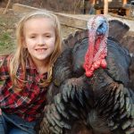 Best of breed turkey