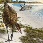 A prehistoric bird walks on a sandy shore near a beached marine reptile and scattered vegetation.