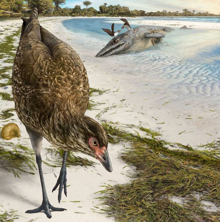 A prehistoric bird walks on a sandy shore near a beached marine reptile and scattered vegetation.