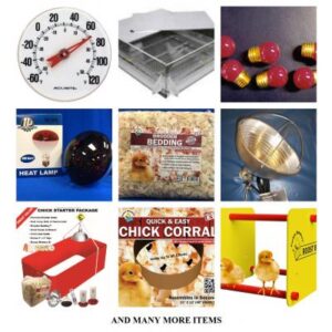 Brooder Equipment for Sale