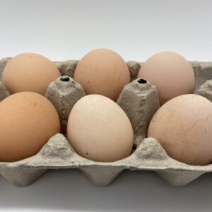 Lavender Orpington eggs