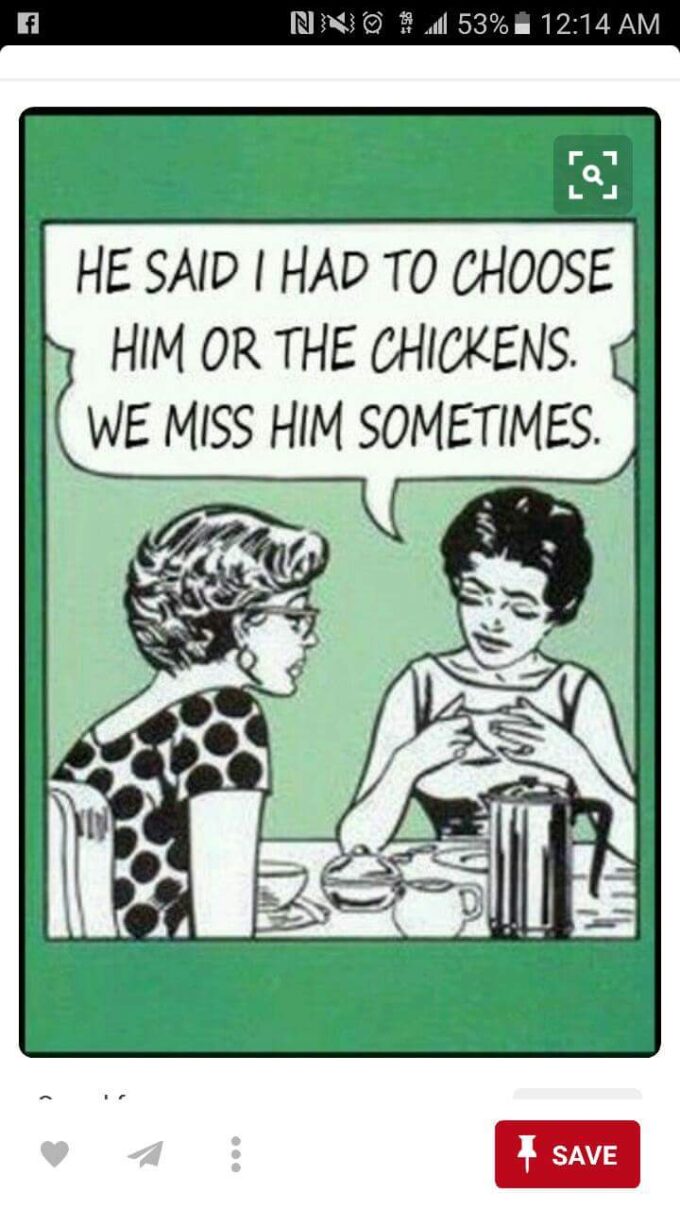 Crazy Chicken Lady Starter Kit