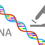 An illustration that shows a DNA strand