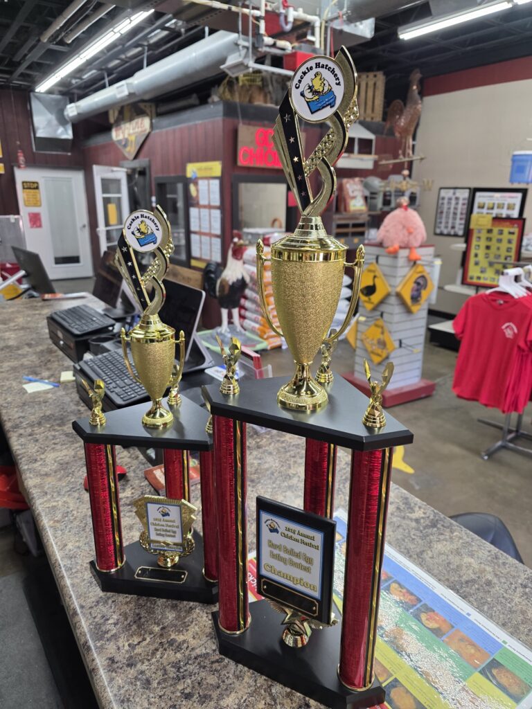 Two gold and red trophies on a counter inside a store with merchandise and awards displayed in the background.