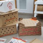 Cackle Hatchery Boxes
