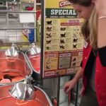 Chicks Warming under Lamp