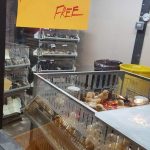 Baby Chicks on Display