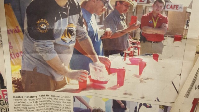 Chicken Festival Newspaper Clipping