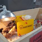 Chick on a Roost Boost