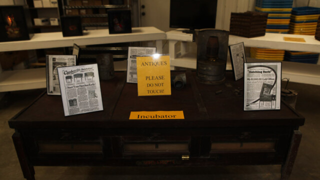 antique chicken incubator