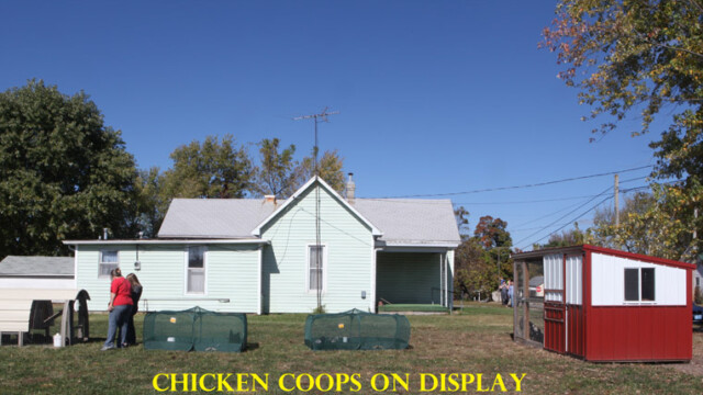 chicken coop types