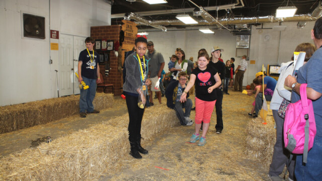 kids games at the chicken festival