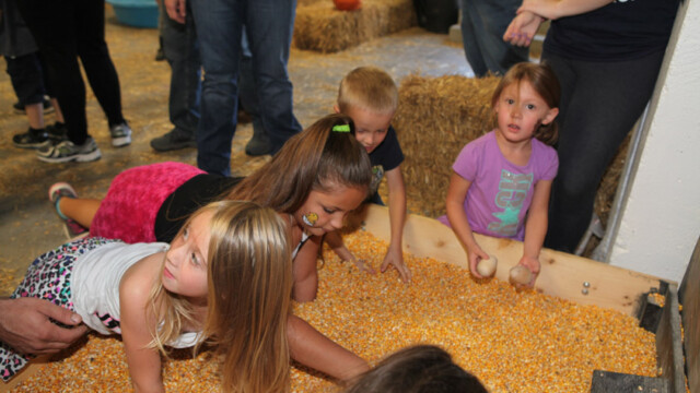 lost egg game at chicken festival