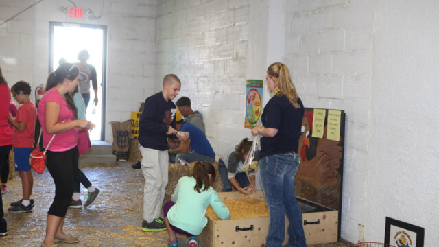 lost egg game at chicken festival