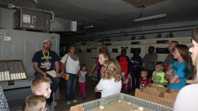 A group of adults and children listen to a guide inside a hatchery room with eggs and equipment visible.
