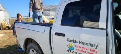 Cackle Hatchery Truck