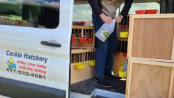 Cackle Hatchery inside of Truck
